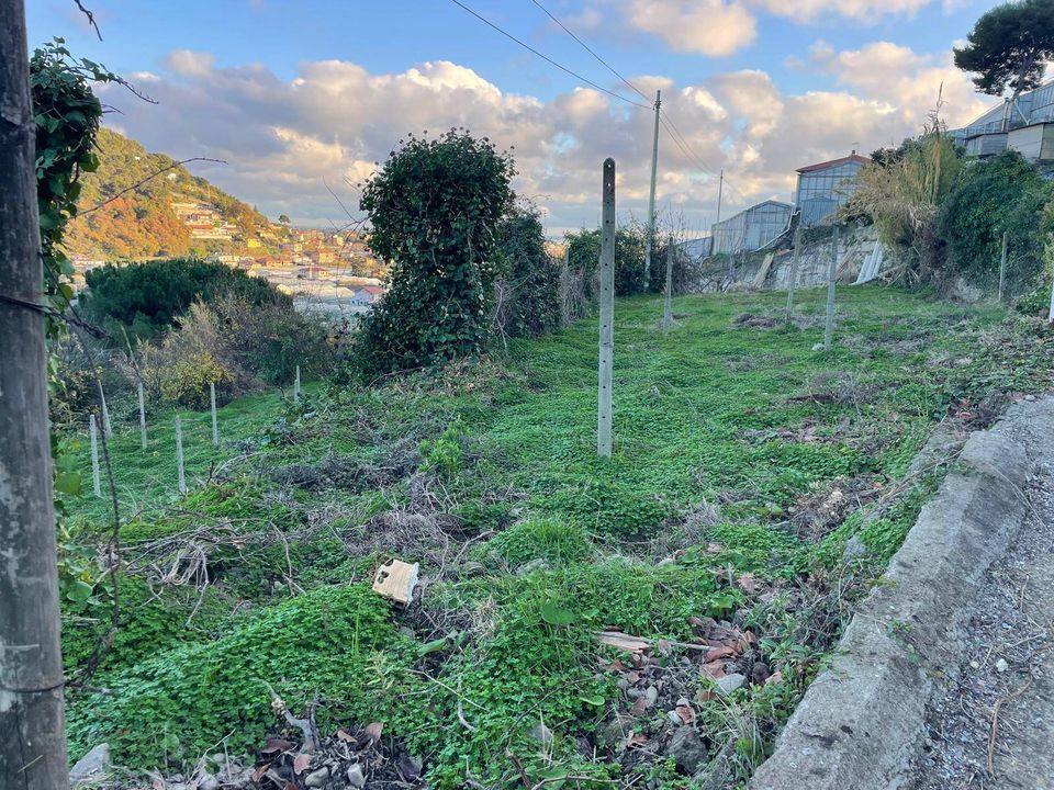 Helårsgrund i Camporosso, Imperia - foto 2