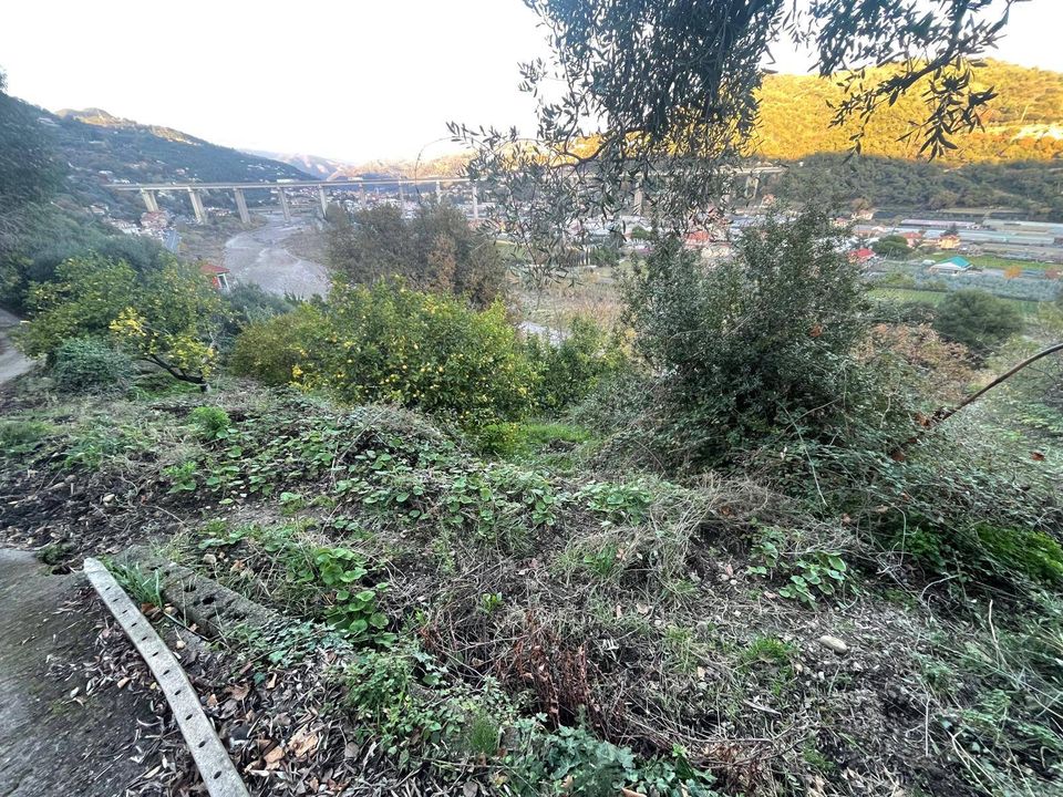 Helårsgrund i Camporosso, Imperia - foto 5