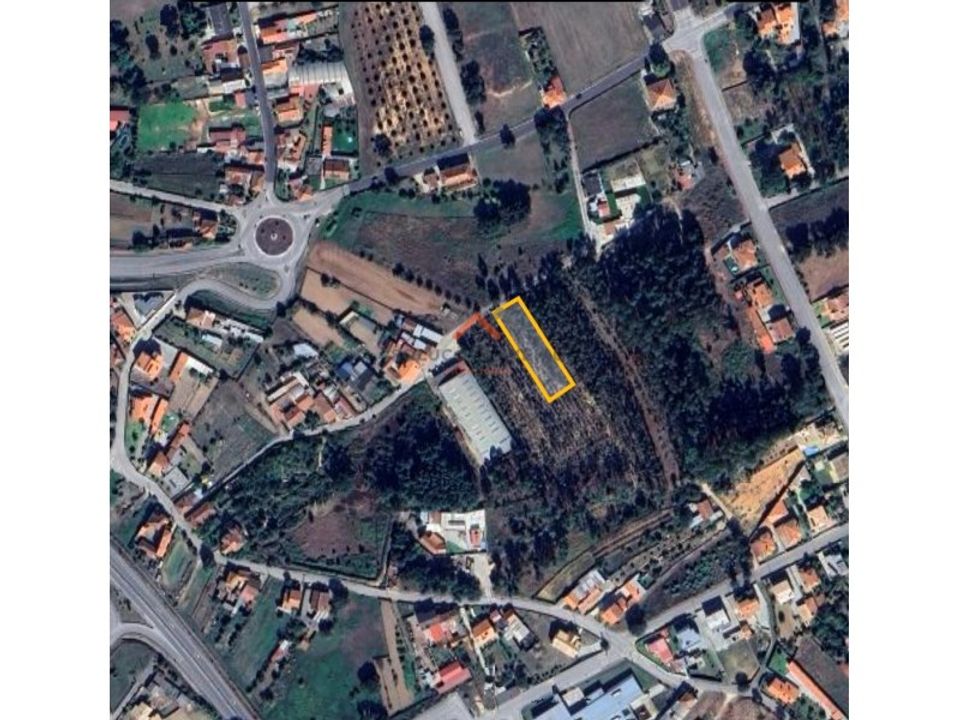 Helårsgrund i Sangalhos, Aveiro - foto 2