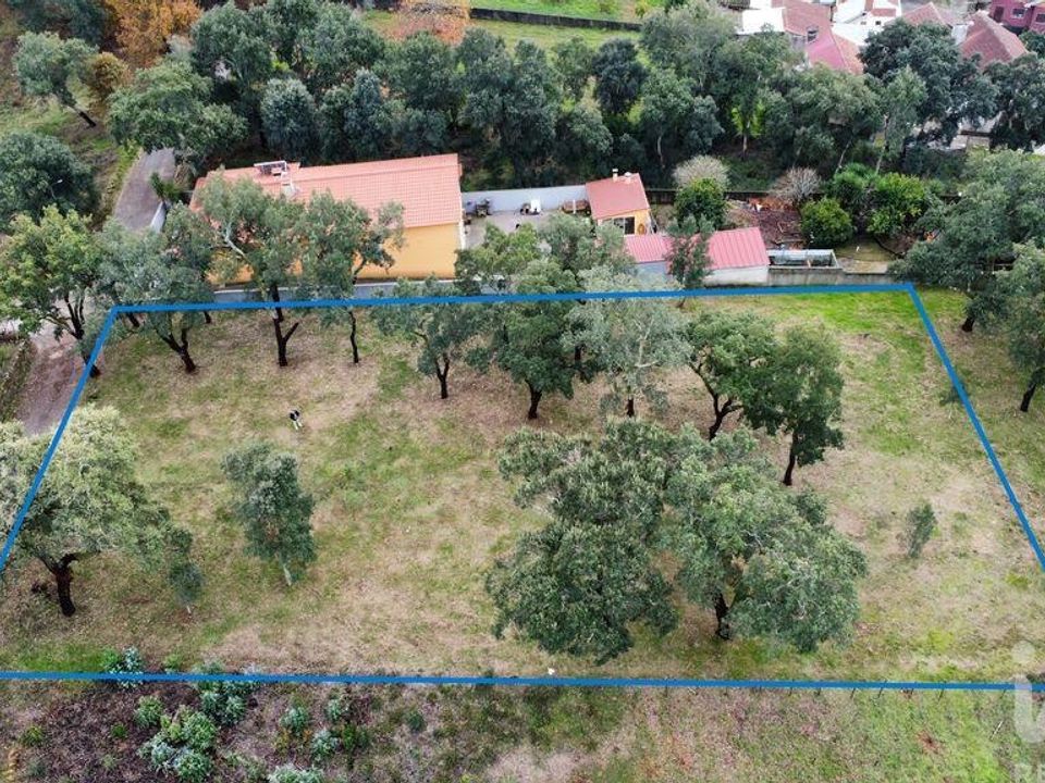 Helårsgrund i Figueiro dos Vinhos, Leiria - foto 3