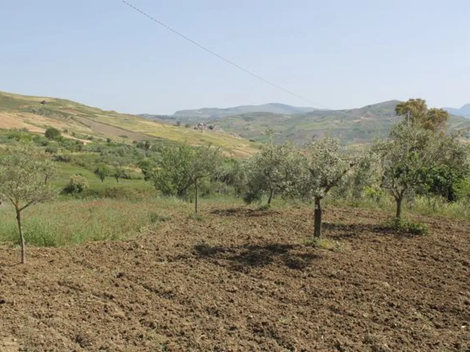Landejendom i Cianciana, Agrigento - foto 3