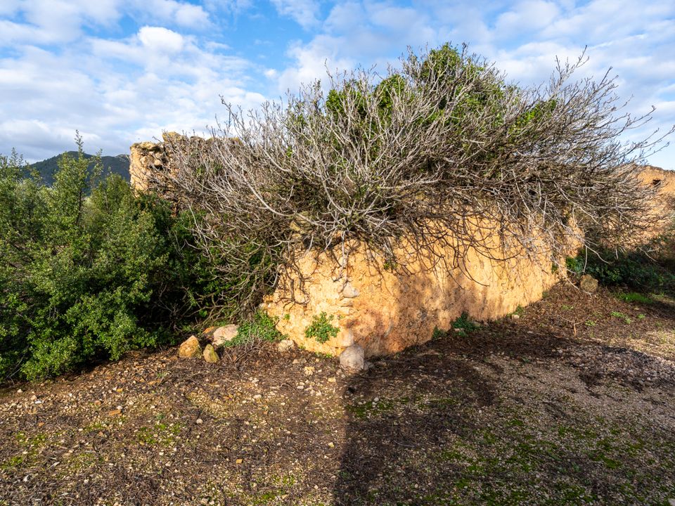 Finca a Roquetes, Tarragona - foto 5