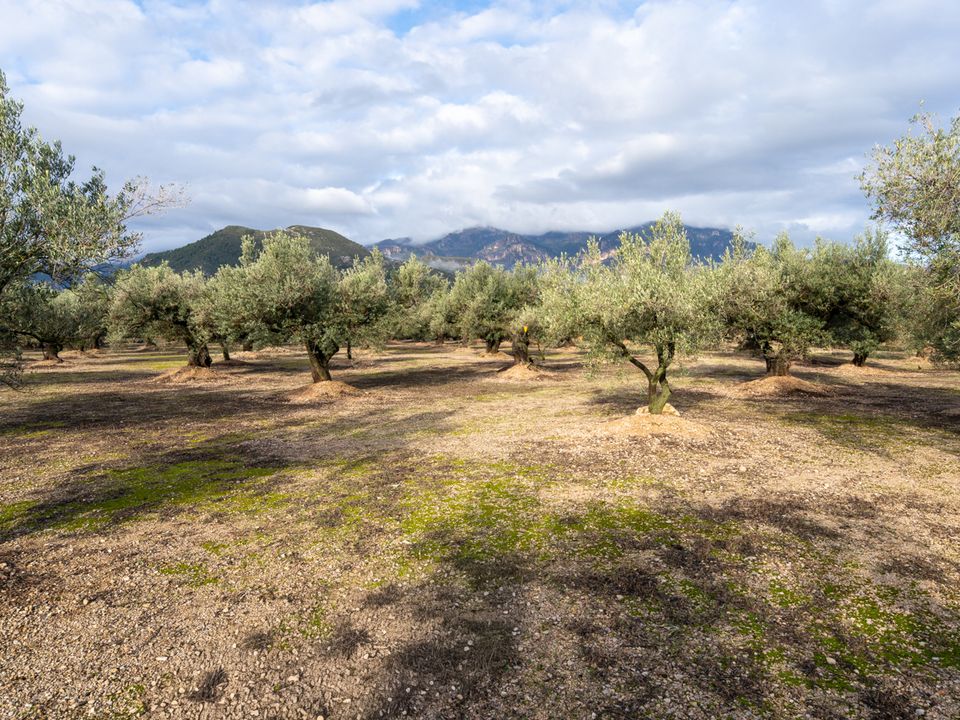 Finca a Roquetes, Tarragona - foto 2