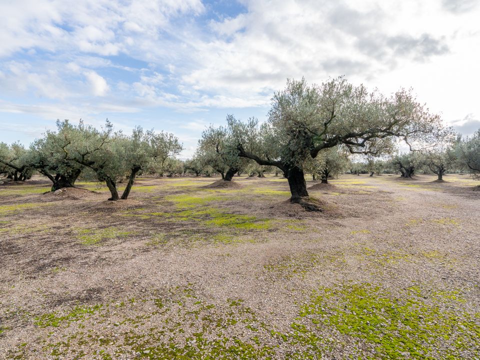 Finca a Roquetes, Tarragona - foto 1
