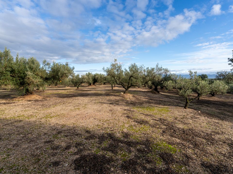 Finca a Roquetes, Tarragona - foto 4