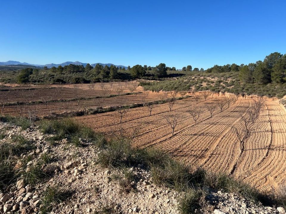 Landejendom i Las Terreras, Murcia - foto 5