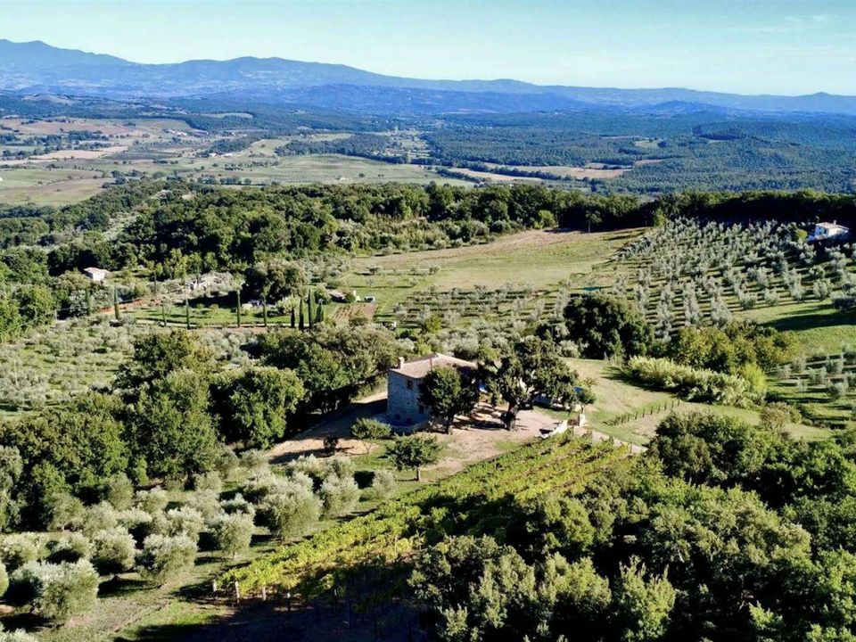 Farm hus i Roccastrada, Grosseto - foto 3