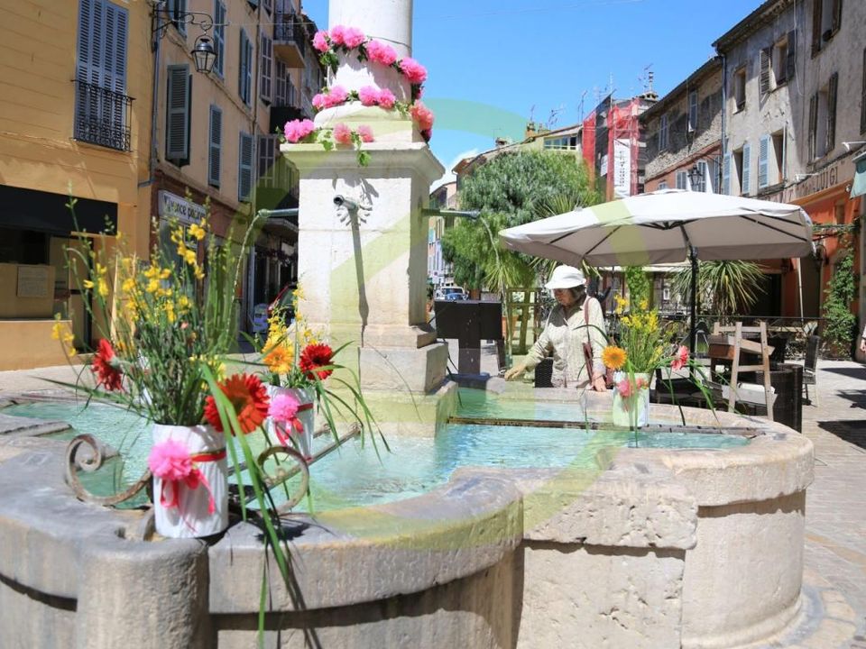 Erhvervsejendom i Vence, Alpes-Maritimes - foto 1