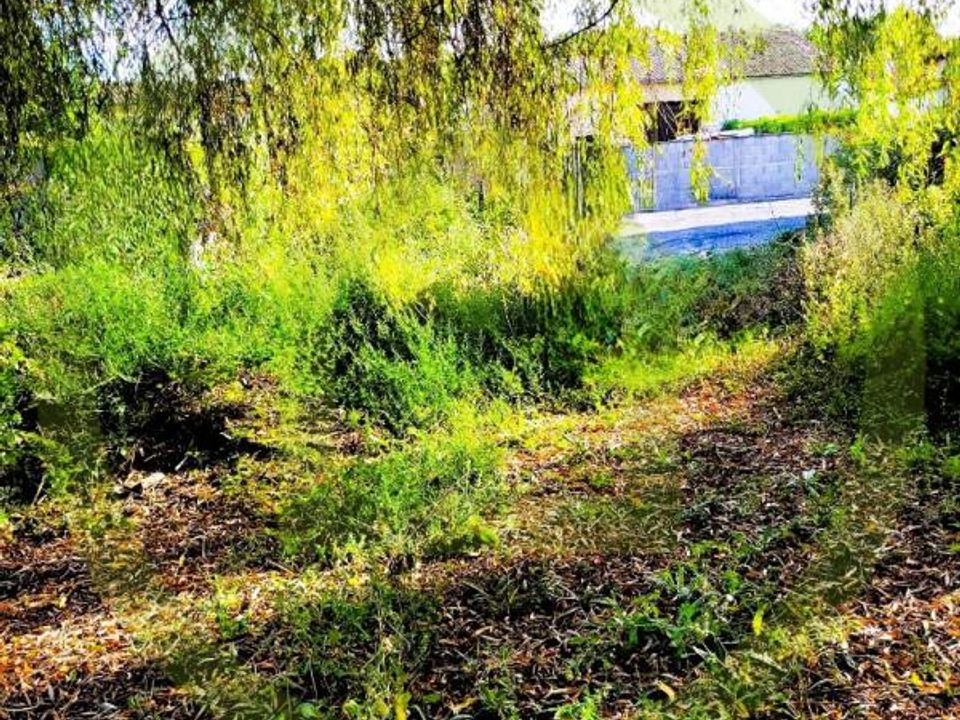 Villa i Saint-Thomas-De-Conac, Charente-Maritime - foto 4