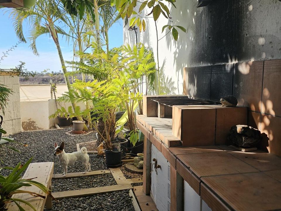 Villa - Sardina Del Sur, Gran Canaria - photo 4