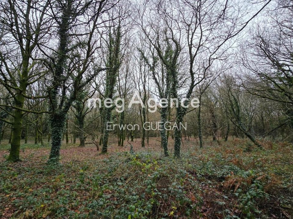 Villa i Kergrist-Moelou, Cotes-d'Armor - foto 5