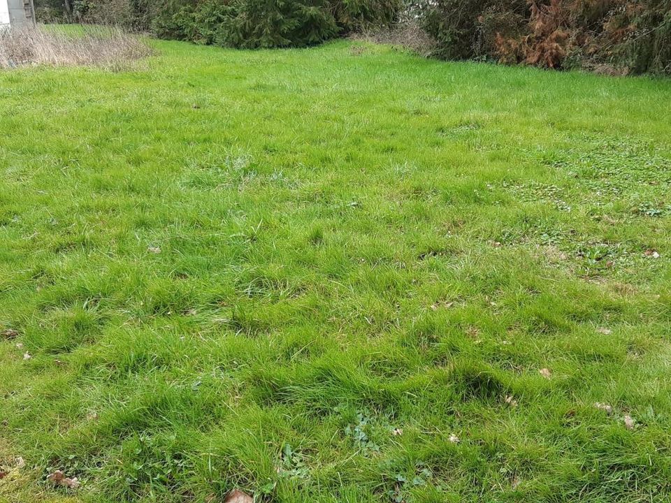 Helårsgrund i Billiers, Morbihan - foto 1