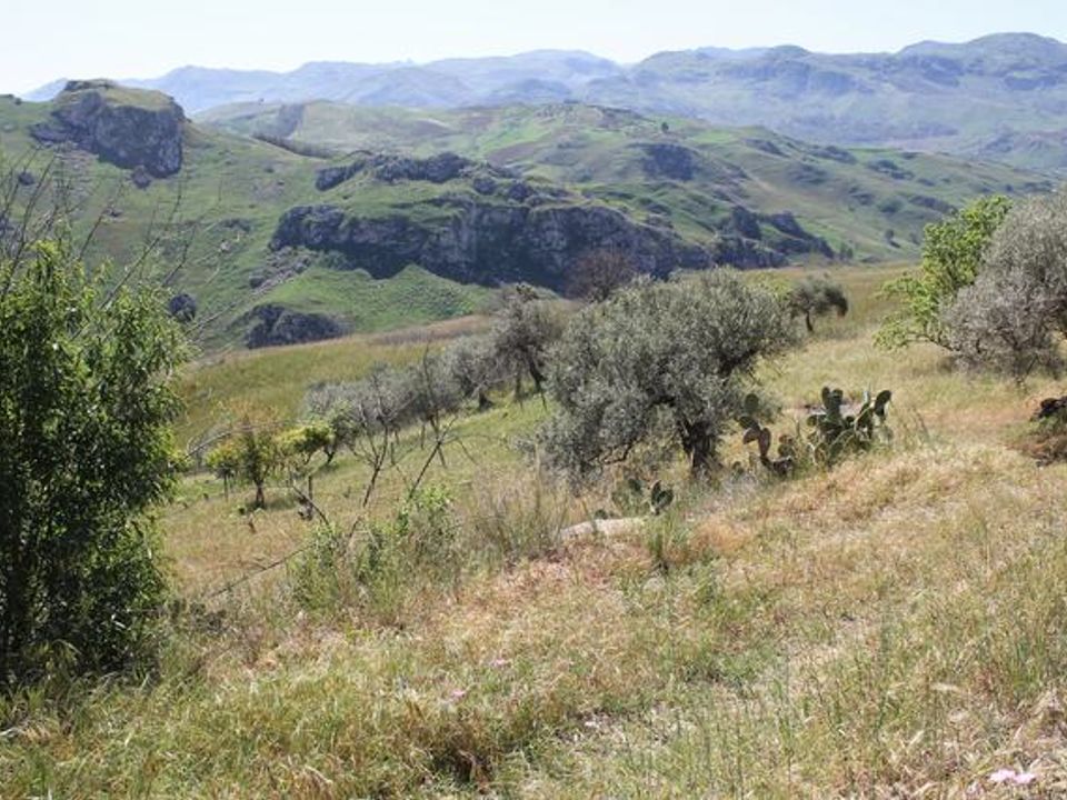 Landejendom i Cianciana, Agrigento - foto 1