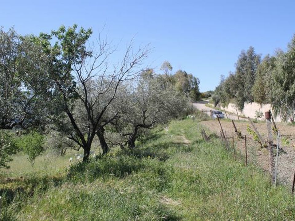 Landejendom i Cianciana, Agrigento - foto 4