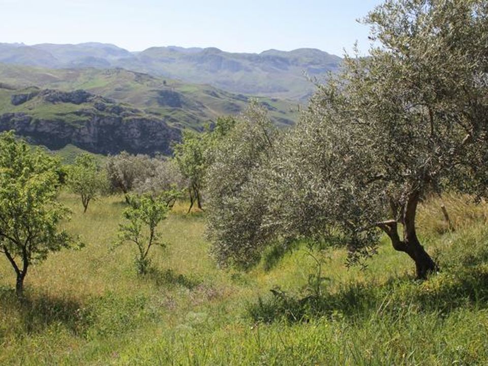Landejendom i Cianciana, Agrigento - foto 3