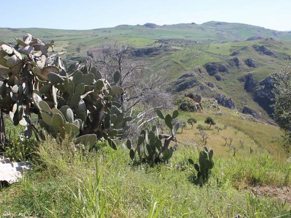 Landejendom i Cianciana, Agrigento - foto 2