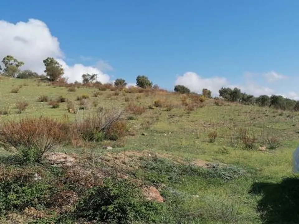 Masia a Cianciana, Agrigento - foto 2