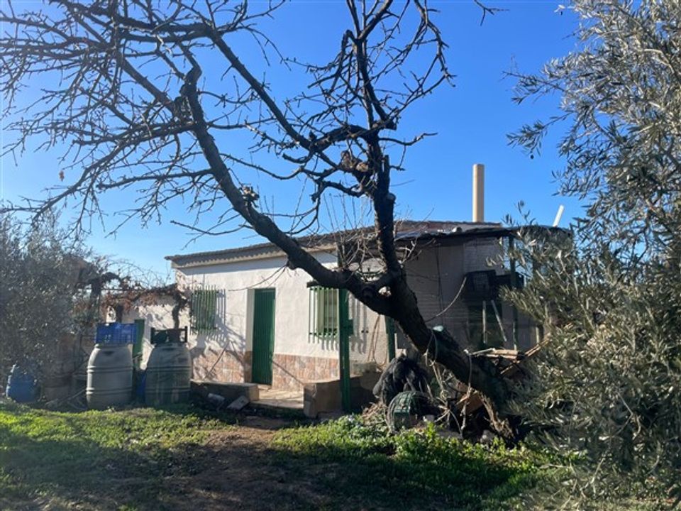 Farm hus i Benalua, Granada - foto 1