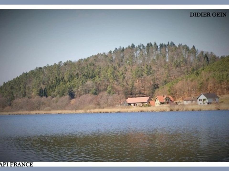 Villa i Baerenthal, Moselle - foto 1