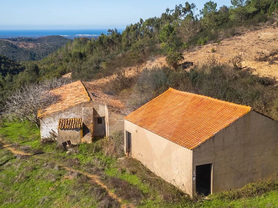 Farm i Monchique, Faro - foto 1