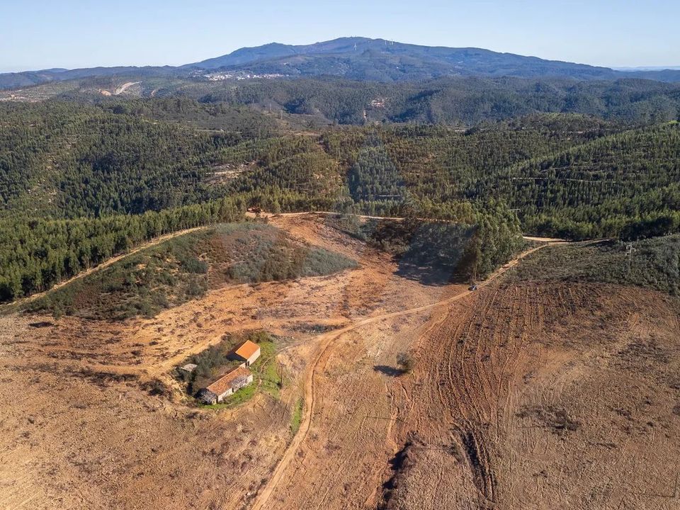 Farm i Monchique, Faro - foto 2