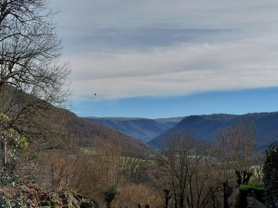 Landejendom i Anglards-de-Salers, Cantal - foto 5