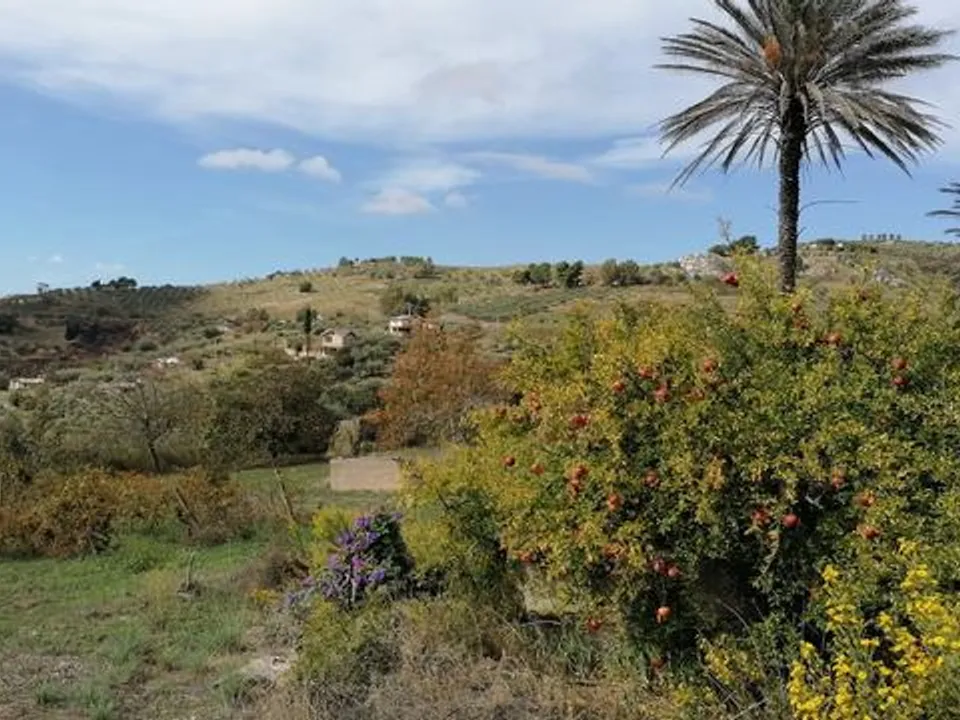 Landejendom i Cianciana, Agrigento - foto 1