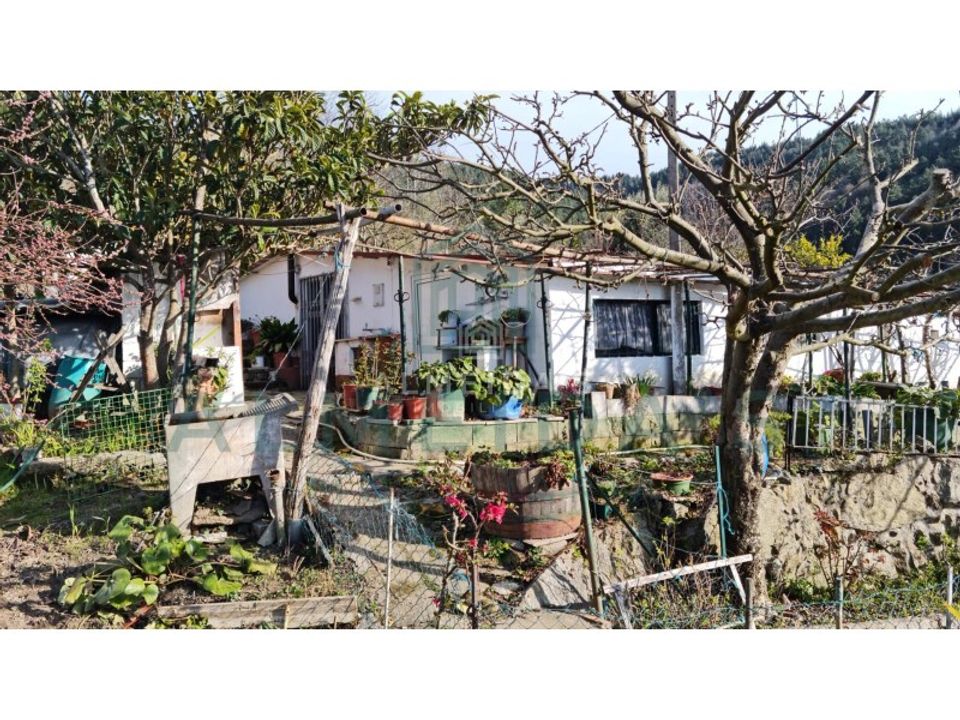 Farm i Vila Pouca de Aguiar, Vila Real - foto 1