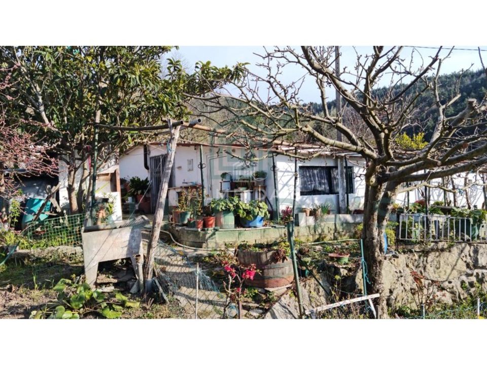 Farm i Vila Pouca de Aguiar, Vila Real - foto 2