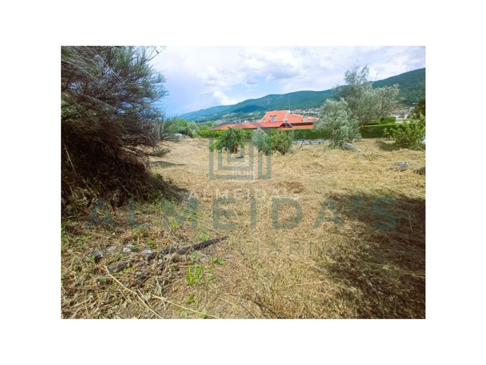 Helårsgrund i Vila Pouca de Aguiar, Vila Real - foto 3