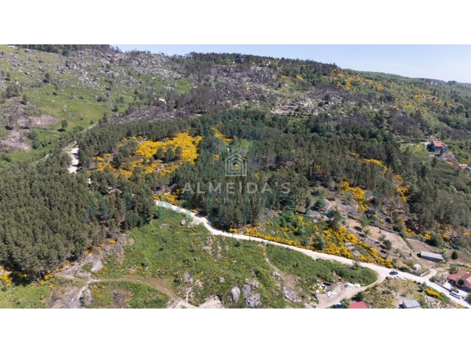 Helårsgrund i Vila Pouca de Aguiar, Vila Real - foto 3