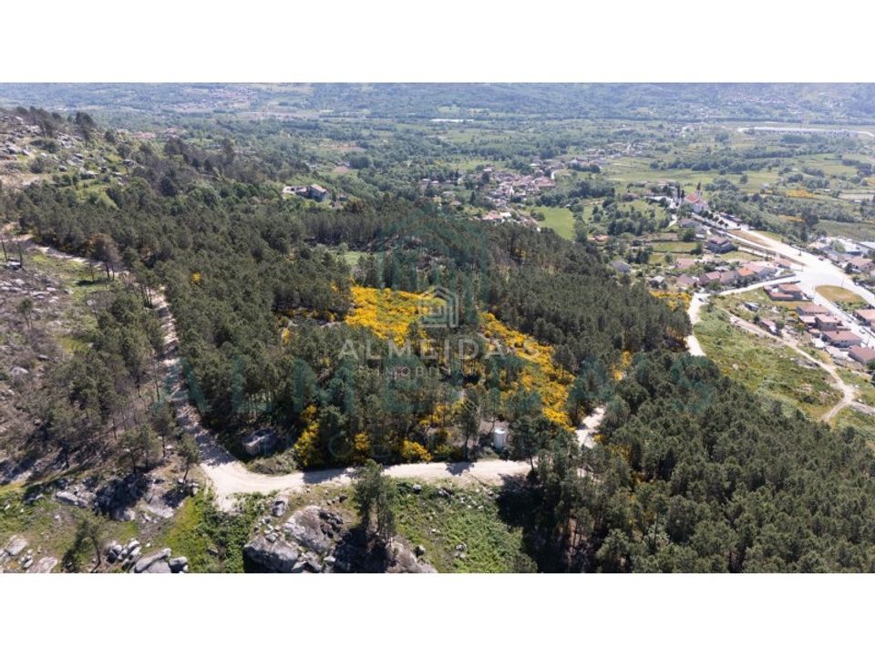 Helårsgrund i Vila Pouca de Aguiar, Vila Real - foto 4