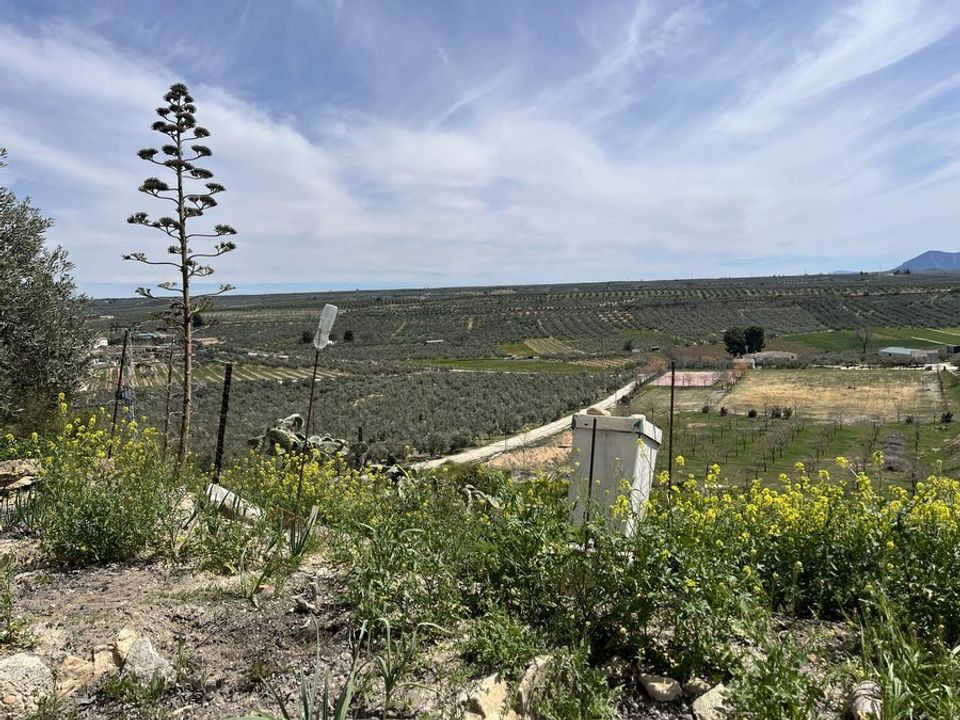 Cave house i Fontanar, Jaen - foto 5