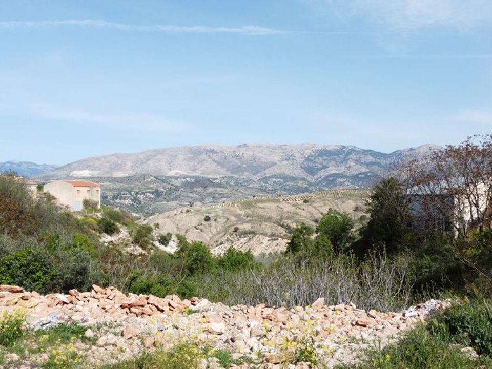 Cave house i Almontaras, Granada - foto 4
