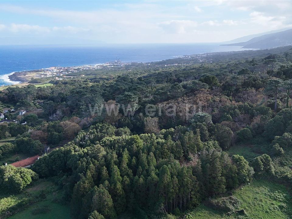 Helårsgrund i Sao Roque do Pico, Pico - foto 4
