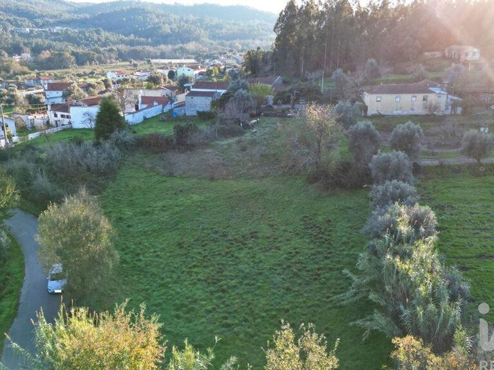 Działka: Miranda do Corvo, Coimbra – zdjęcie 3