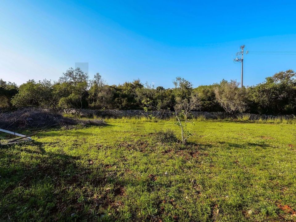 Helårsgrund i Santa Barbara de Nexe, Faro - foto 2