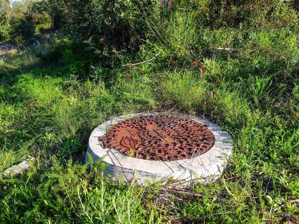 Helårsgrund i Santa Barbara de Nexe, Faro - foto 4