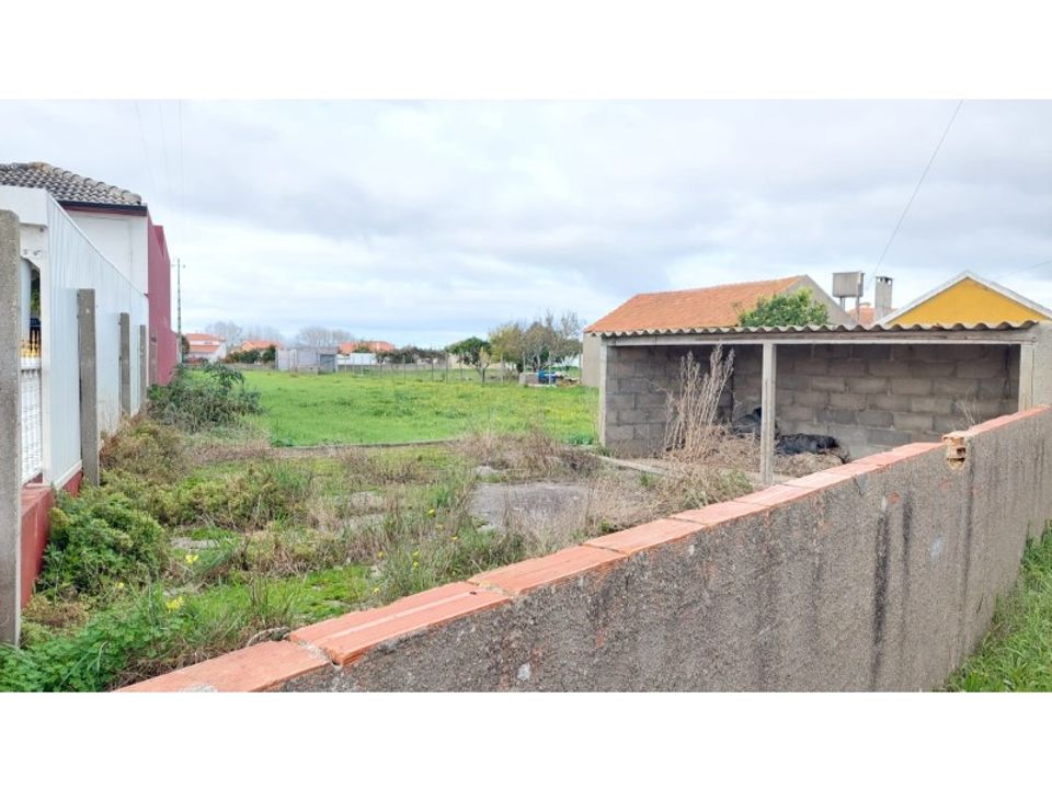 Tomt i Monte Real, Leiria - bilde 3