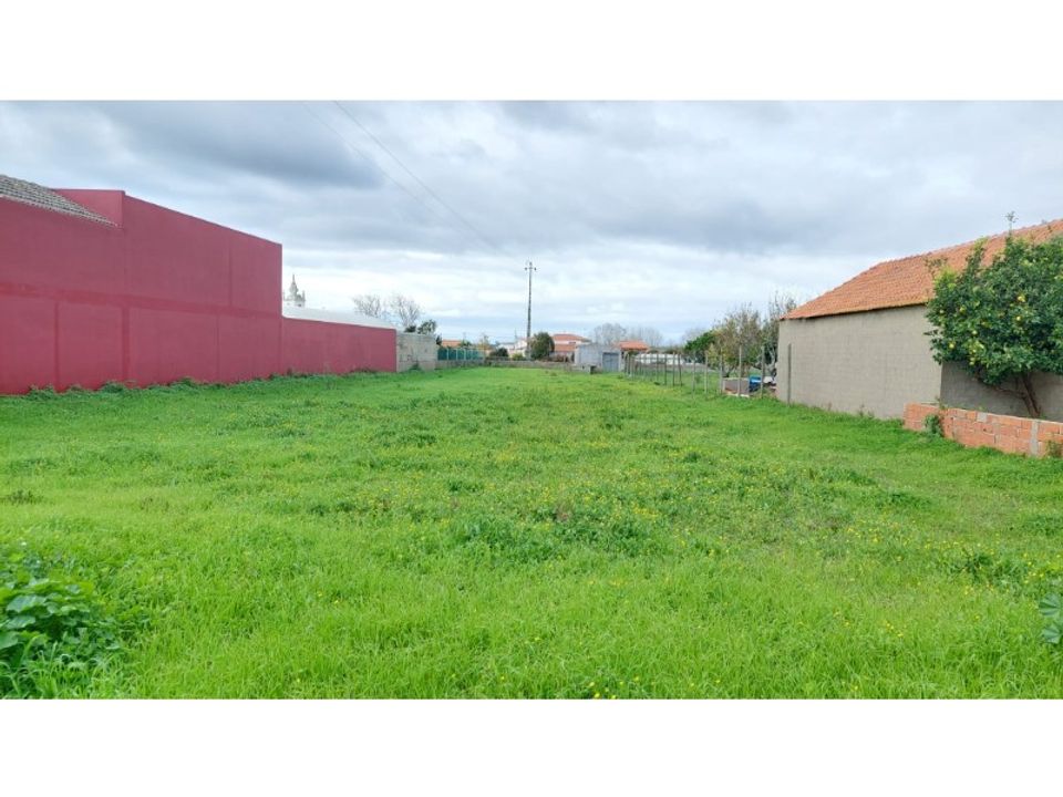 Tomt i Monte Real, Leiria - bilde 4