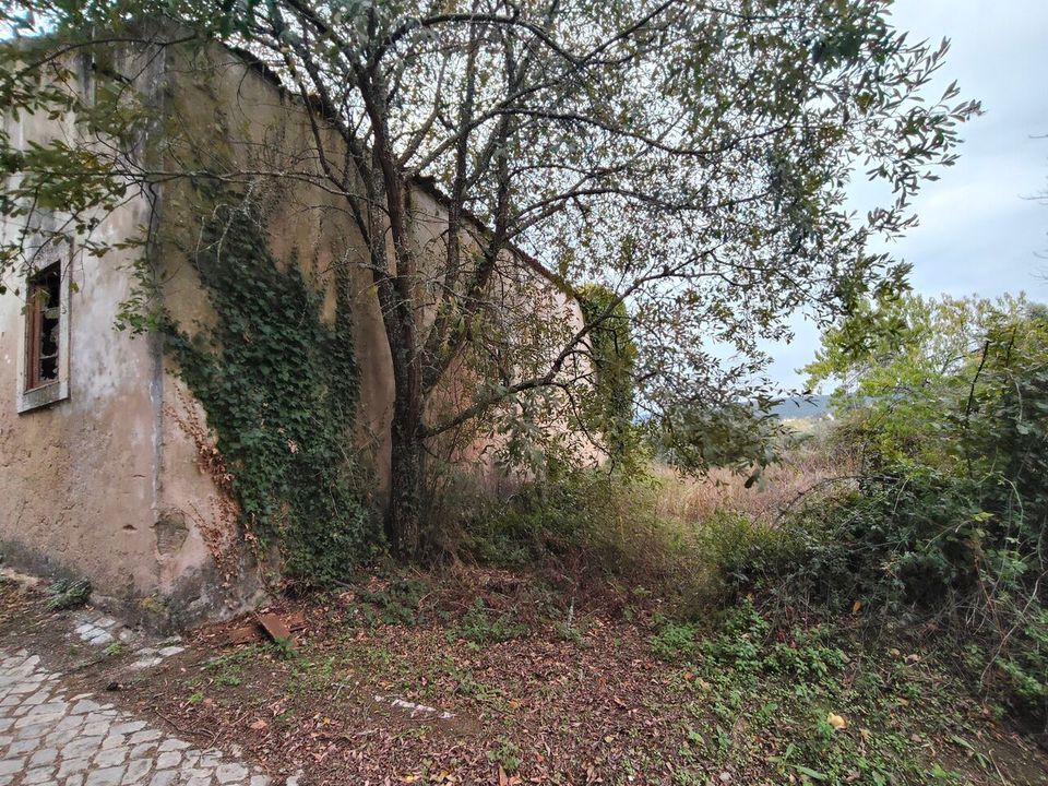 Villa i Ansiao, Leiria - foto 4