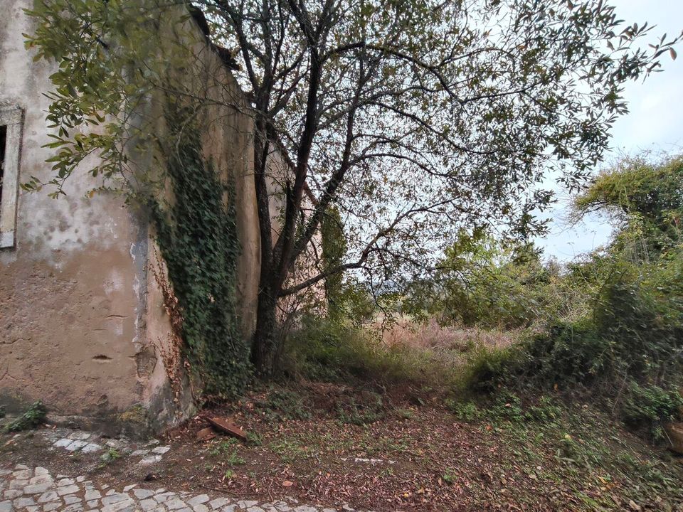 Villa i Ansiao, Leiria - foto 5