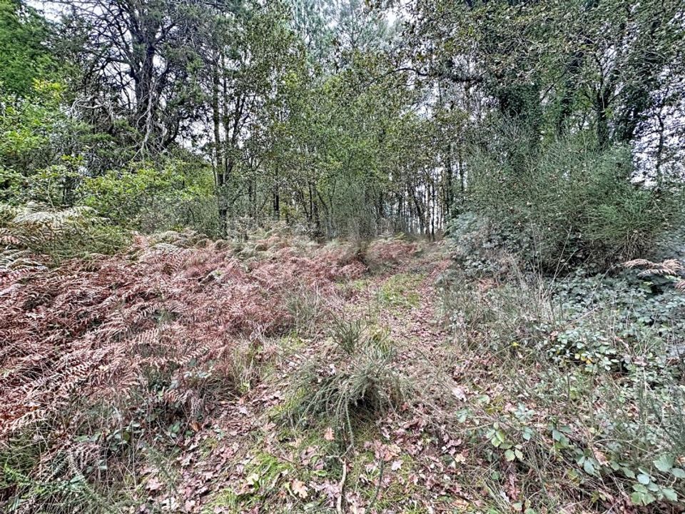 Helårsgrund i Ganfei, Viana do Castelo - foto 3