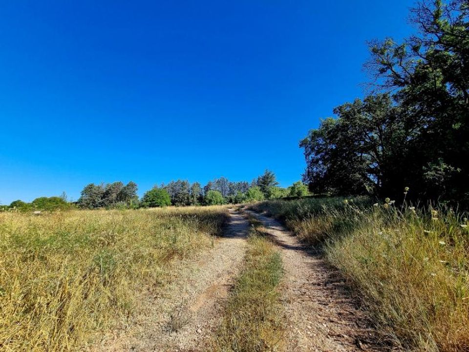 Land in Pouzols, Herault - photo 3