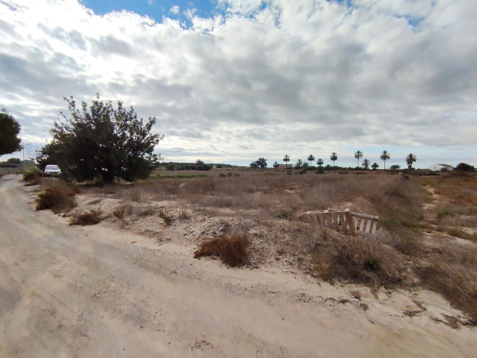 Helårsgrund i Elche, Alicante - foto 2