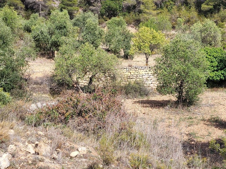 Helårsgrund i La Pobla De Cervoles, Lerida - foto 1