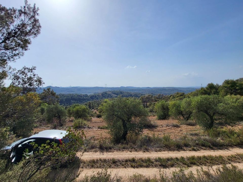 Helårsgrund i La Pobla De Cervoles, Lerida - foto 2