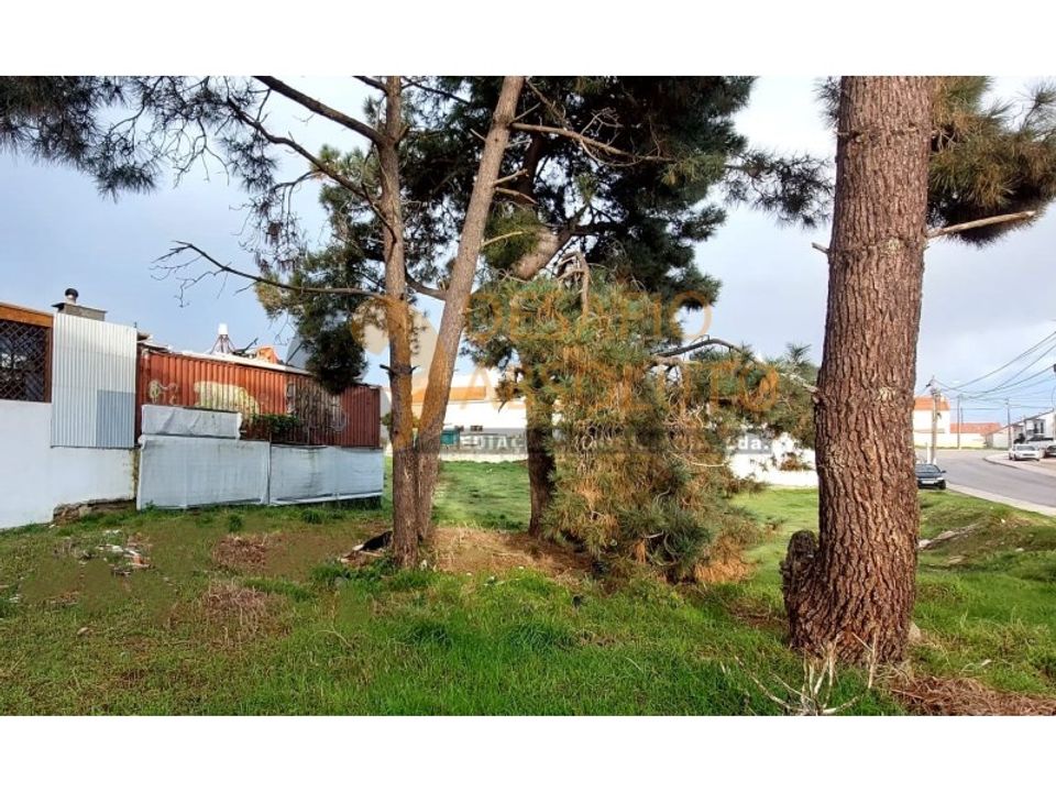 Helårsgrund i Quinta do Conde, Setubal - foto 4