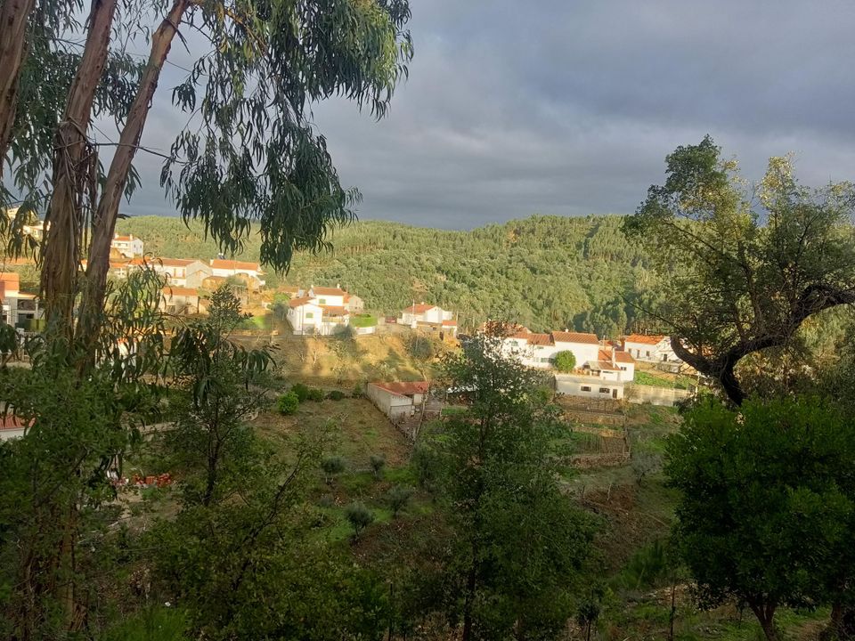 Villa i Vila de Rei, Castelo Branco - bilde 1