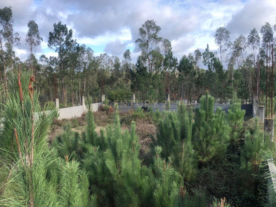 Helårsgrund i Pombal, Leiria - foto 4